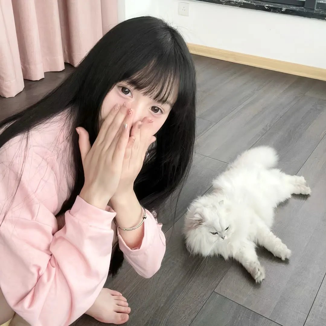 出走